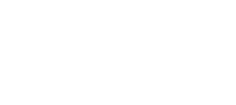 Daily Details Concierge Logo